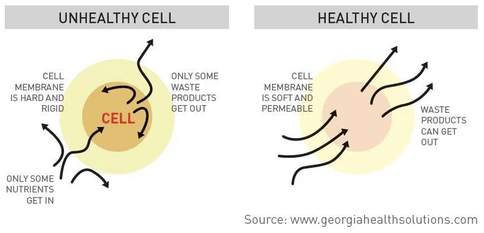 Negative Ions – Negative Ion